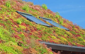 Heath Town living roof systems