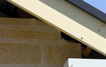 soffit repair Heath Town